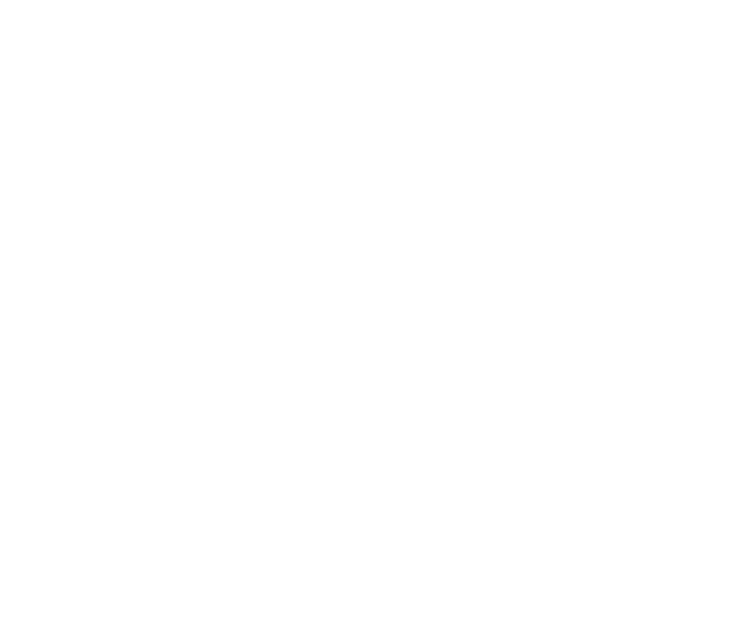 Bringing Ideas to Life